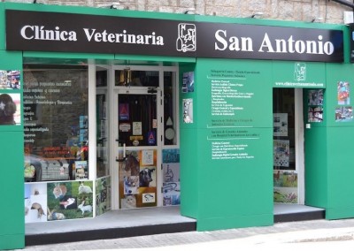 Veterinario en Ávila, Clínica veterinaria San Antonio