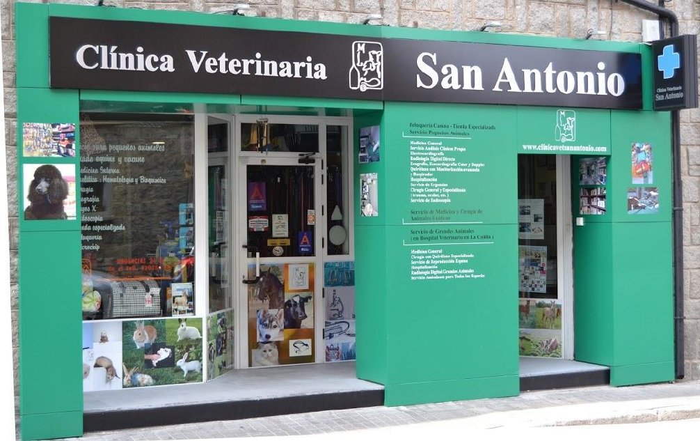 Veterinario en Ávila, Clínica veterinaria San Antonio